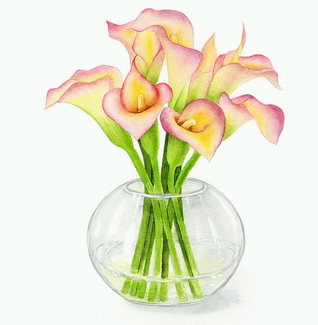 董搞搞水彩作品 馬蹄蓮與水果的清新對話